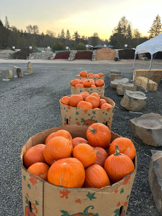 Pumpkins